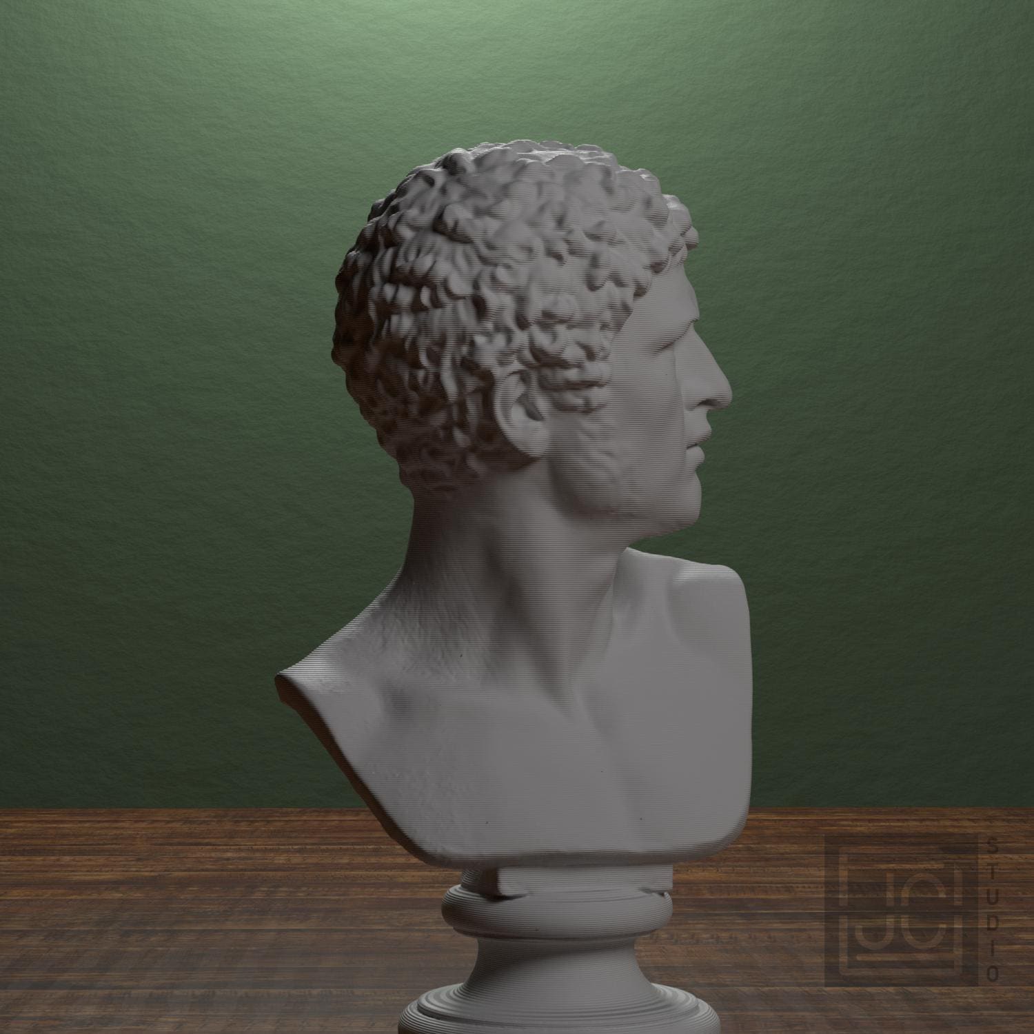 Head of a Man 3D Printed Museum Replica
