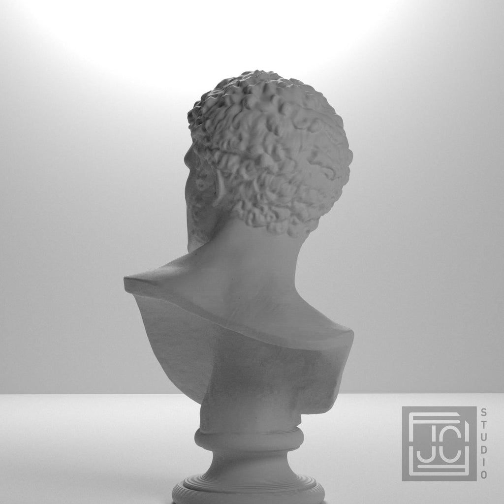 Head of a Man 3D Printed Museum Replica