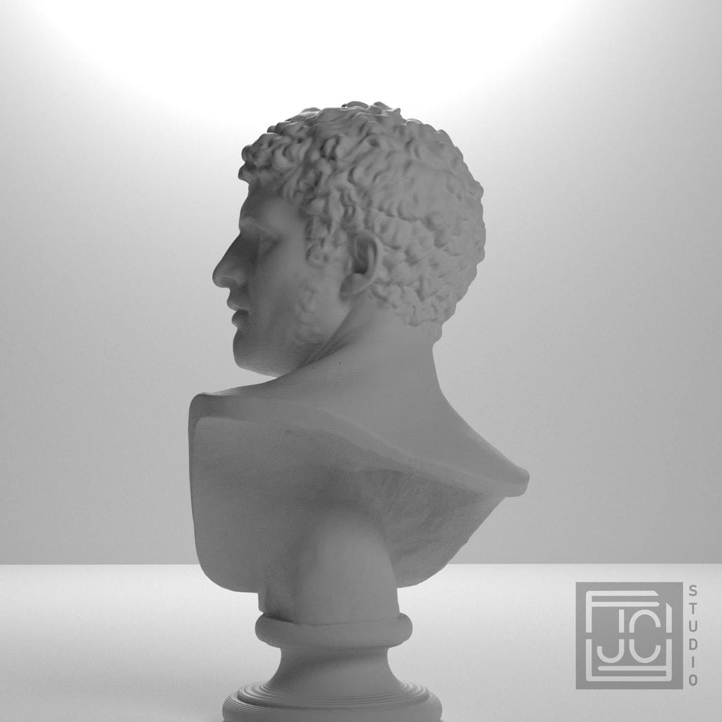 Head of a Man 3D Printed Museum Replica