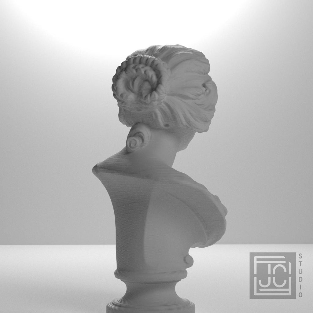 Costanza Bonarelli 3D Printed Collectible Bust