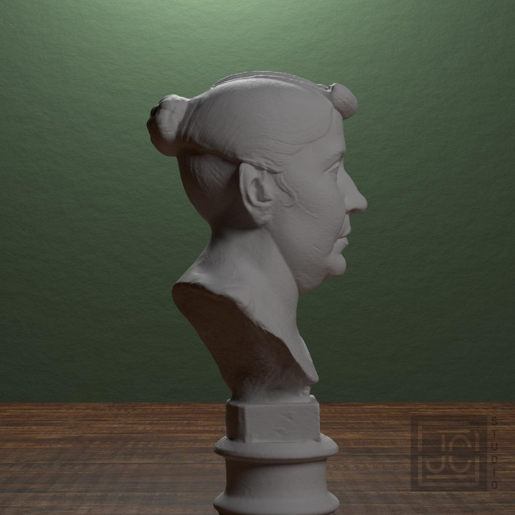 Elderly Roman Woman 3D Printed Collectible Bust