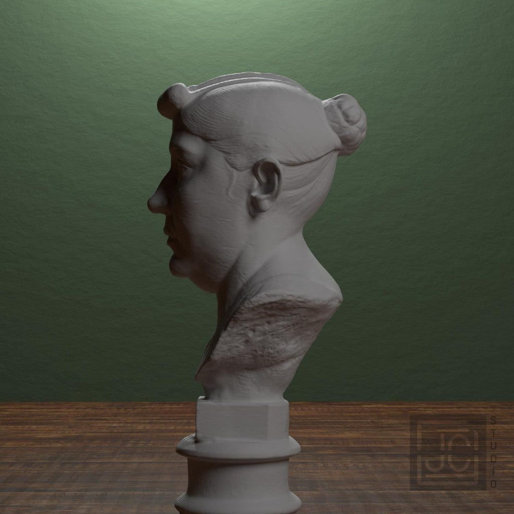 Elderly Roman Woman 3D Printed Collectible Bust