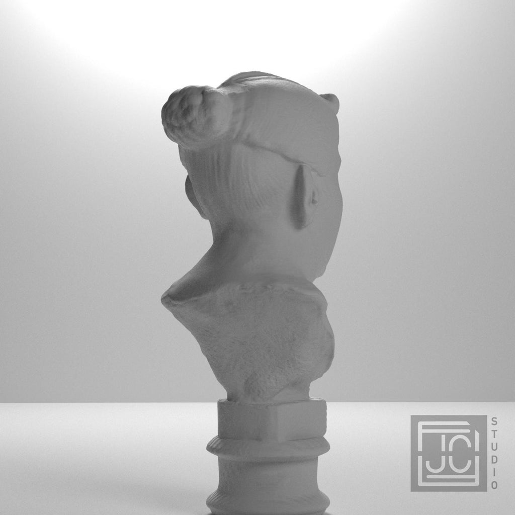 Elderly Roman Woman 3D Printed Collectible Bust