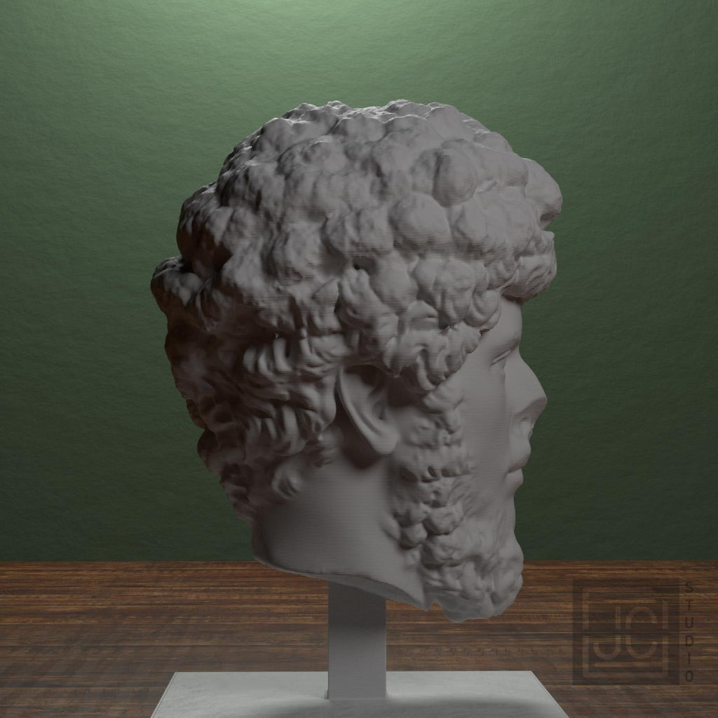 Lucius Verus 3D Printed Collectible Bust