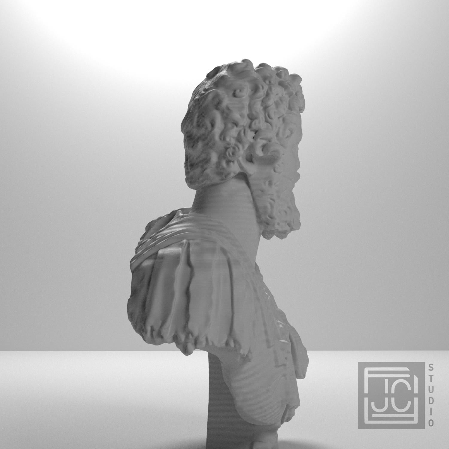 Septimius Severus 3D Printed Collectible Bust