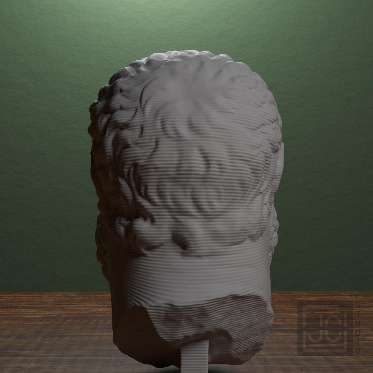 Emperor Maximian Head 3D Printed Museum Replica
