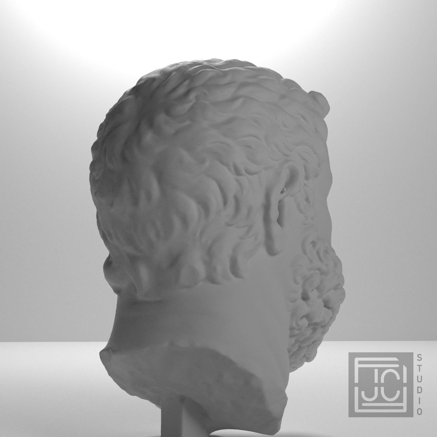 Emperor Maximian Head 3D Printed Museum Replica