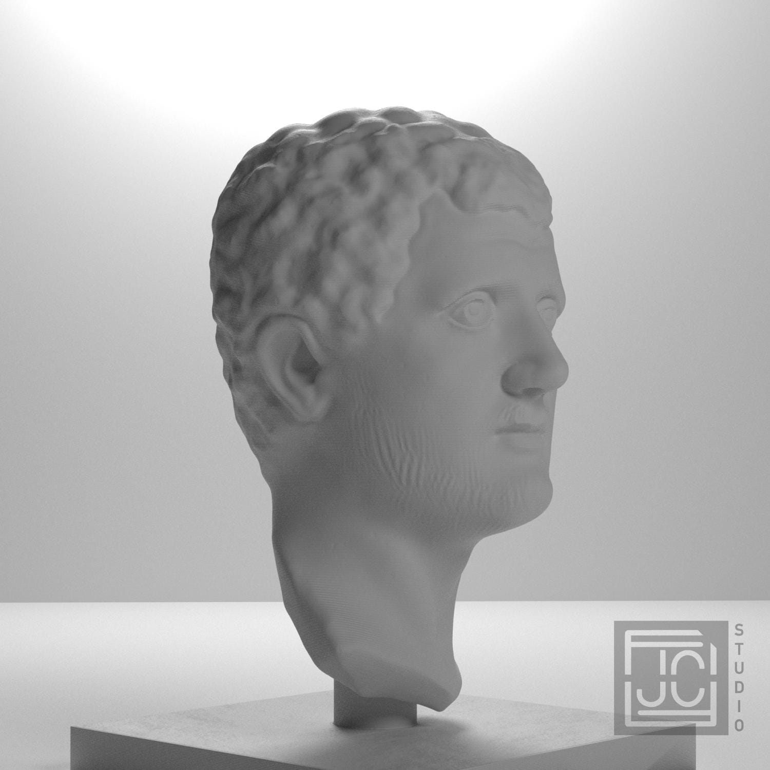 Portrait Head of a Man 3D Printed Museum Replica