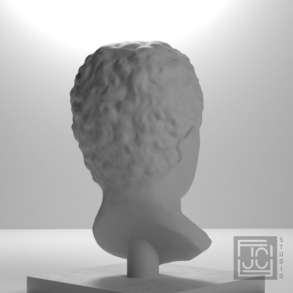 Portrait Head of a Man 3D Printed Museum Replica