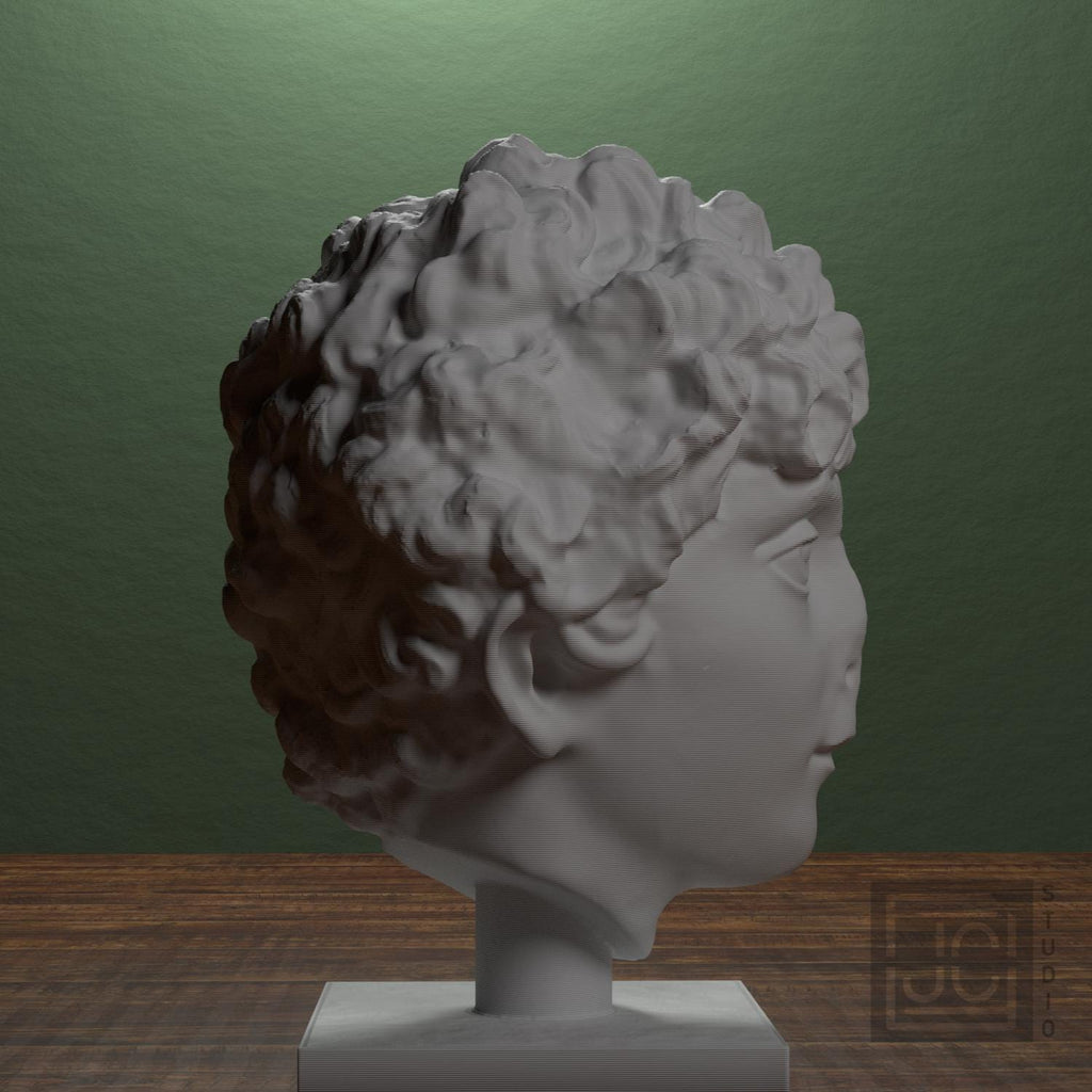 Roman Youth Head 3D Printed Museum Replica