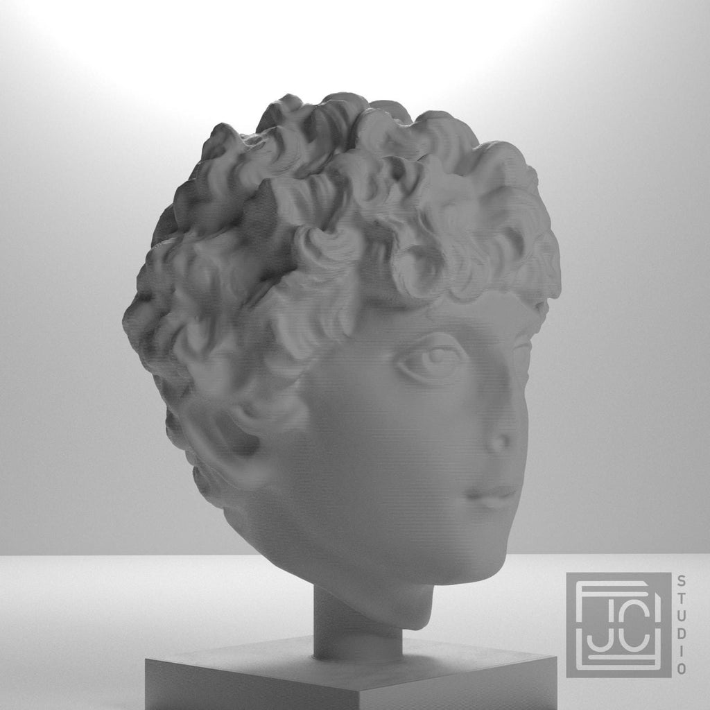 Roman Youth Head 3D Printed Museum Replica