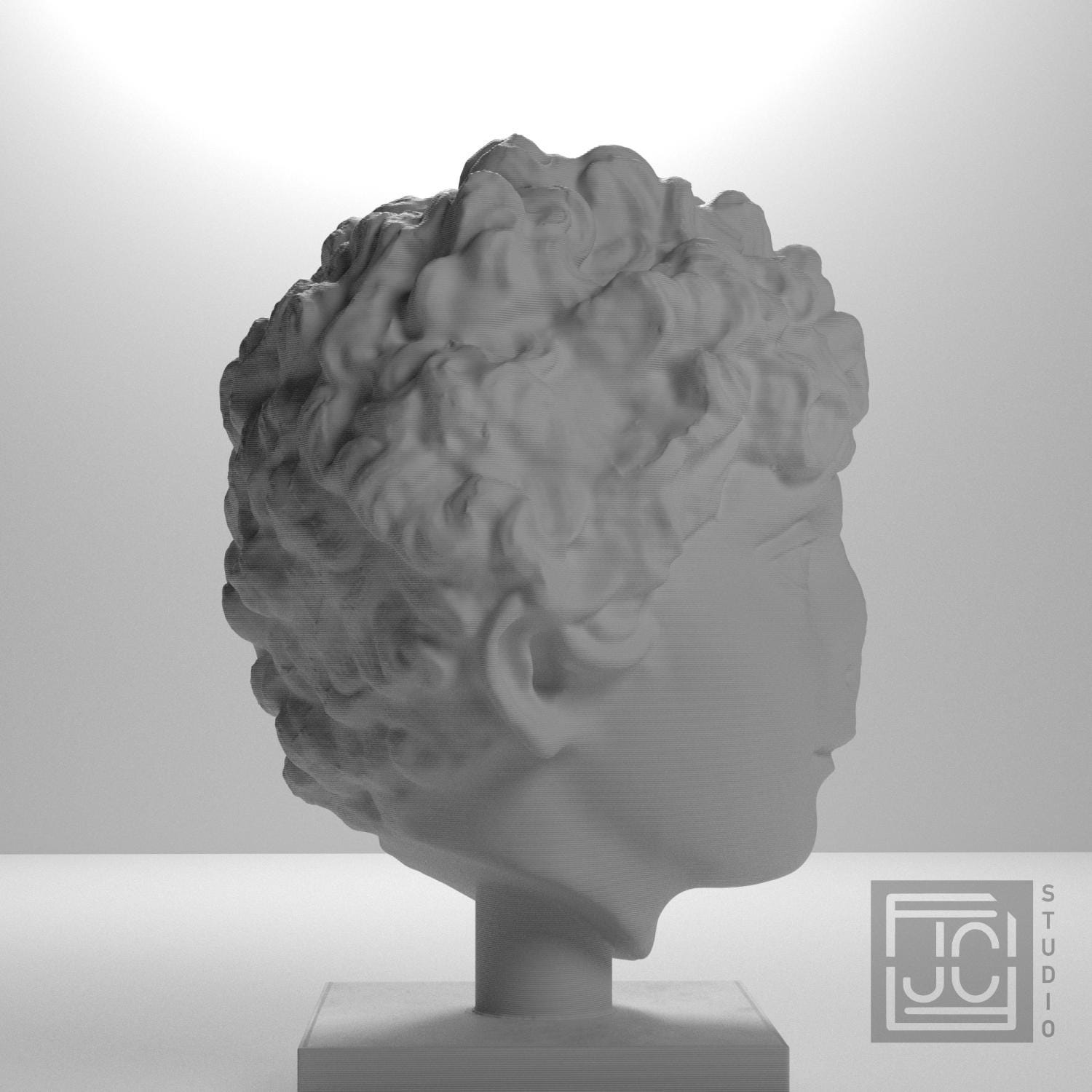 Roman Youth Head 3D Printed Museum Replica