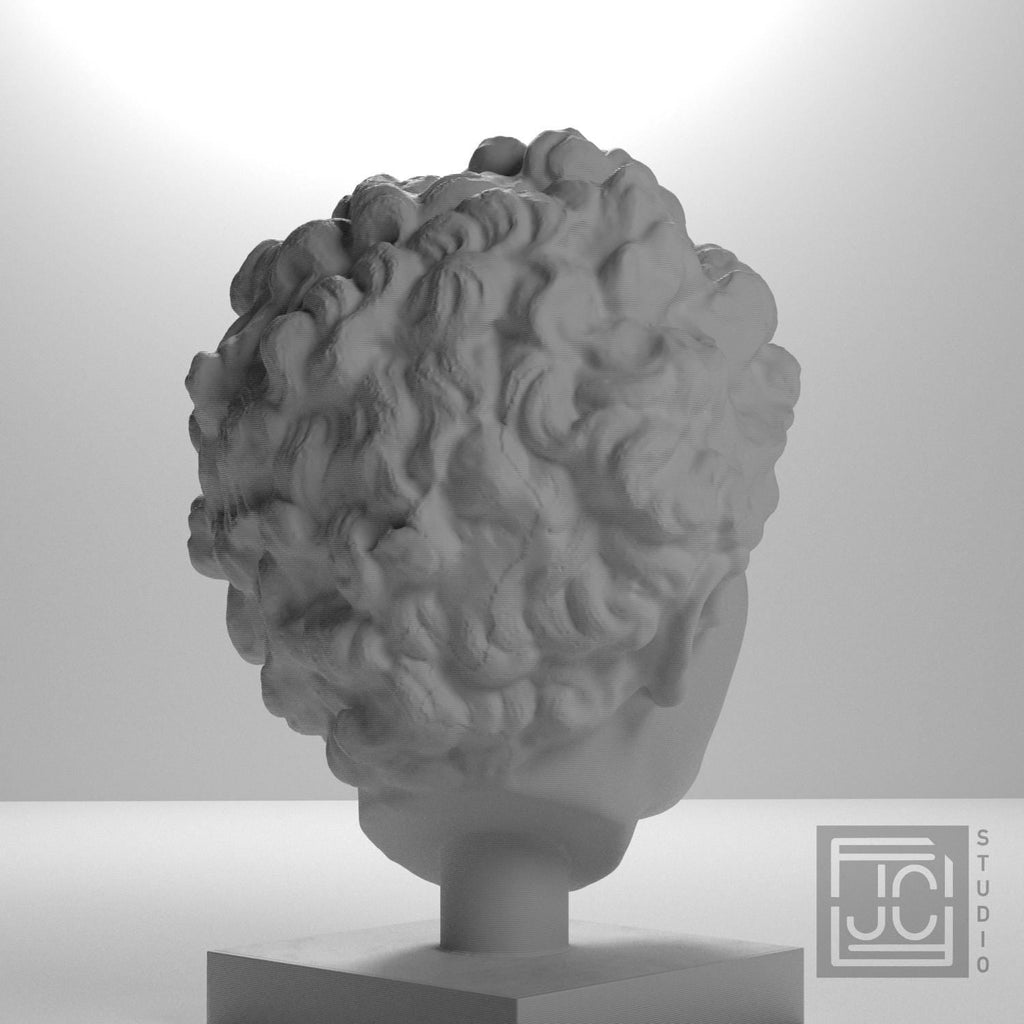 Roman Youth Head 3D Printed Museum Replica