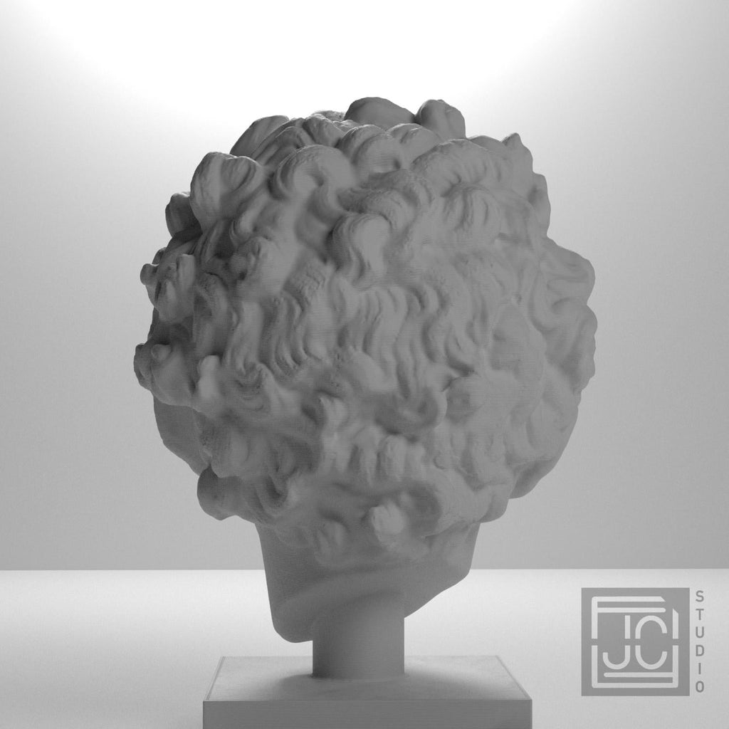 Roman Youth Head 3D Printed Museum Replica