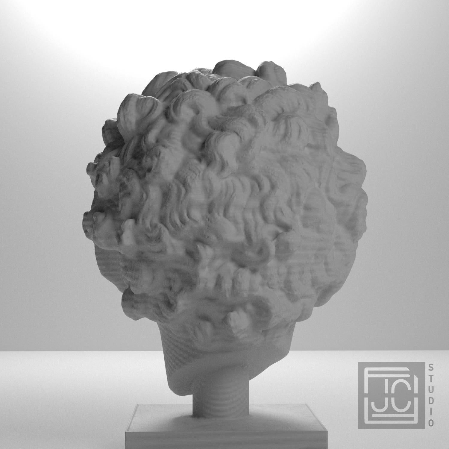 Roman Youth Head 3D Printed Museum Replica