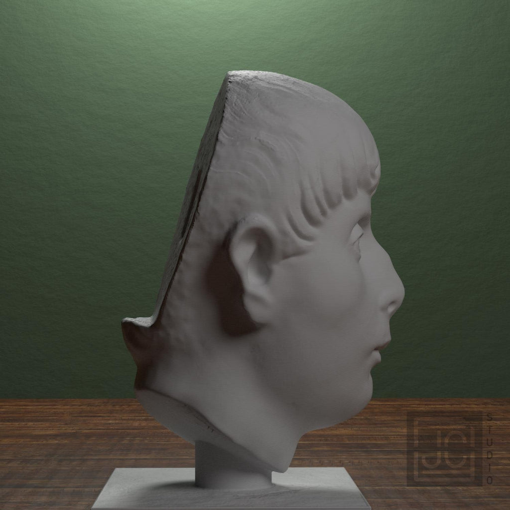 Young Man Head 3D Printed Museum Replica