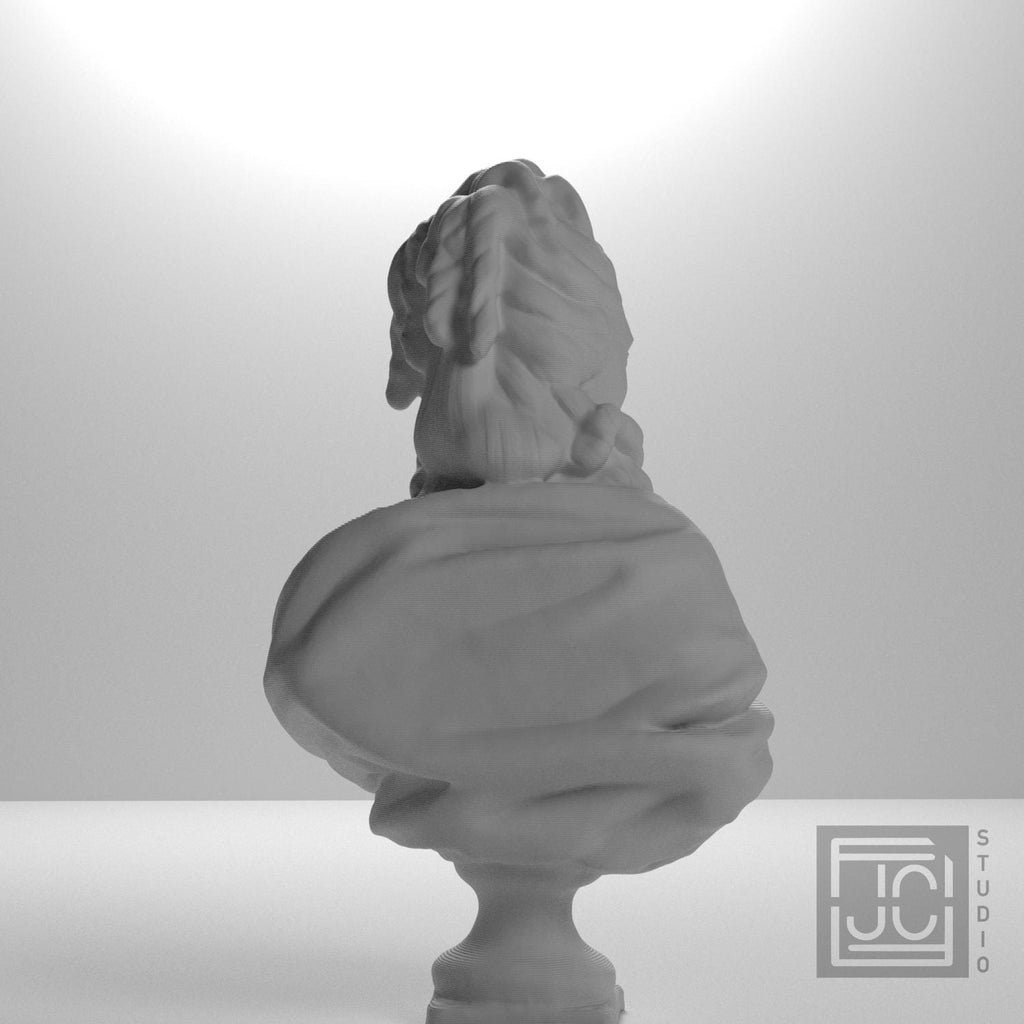 Anne-Marie-Louise Thomas de Domangeville 3D Printed Collectible Bust