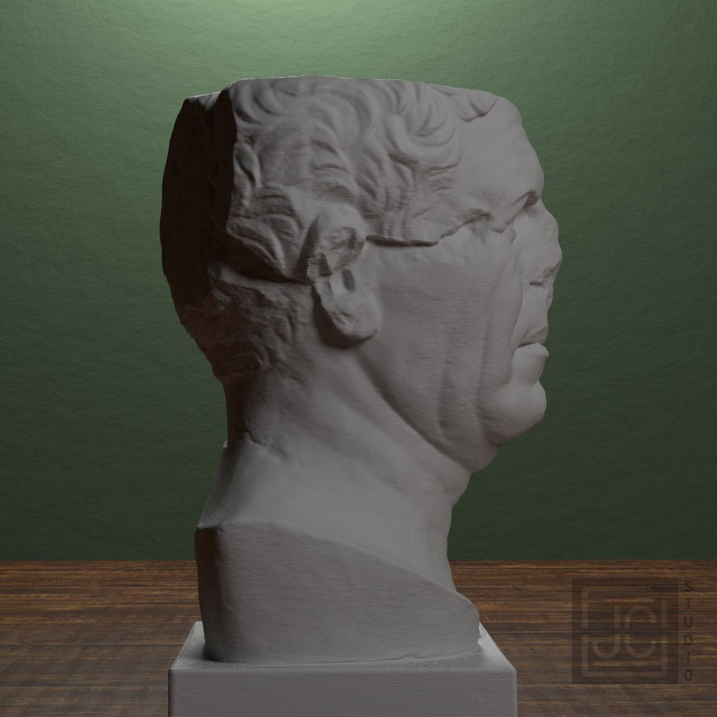 So-Called Tivoli General 3D Printed Museum Portrait Replica