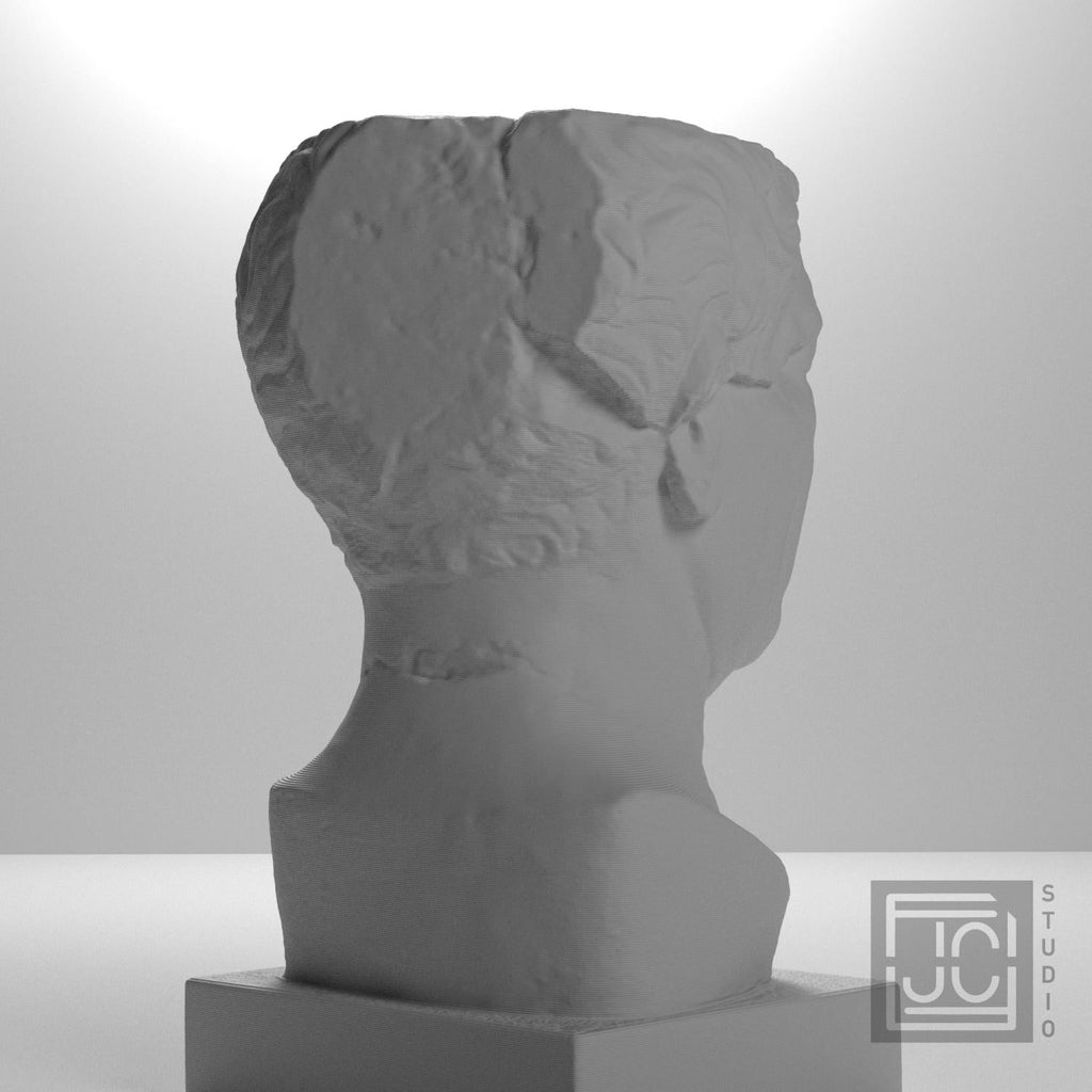So-Called Tivoli General 3D Printed Museum Portrait Replica