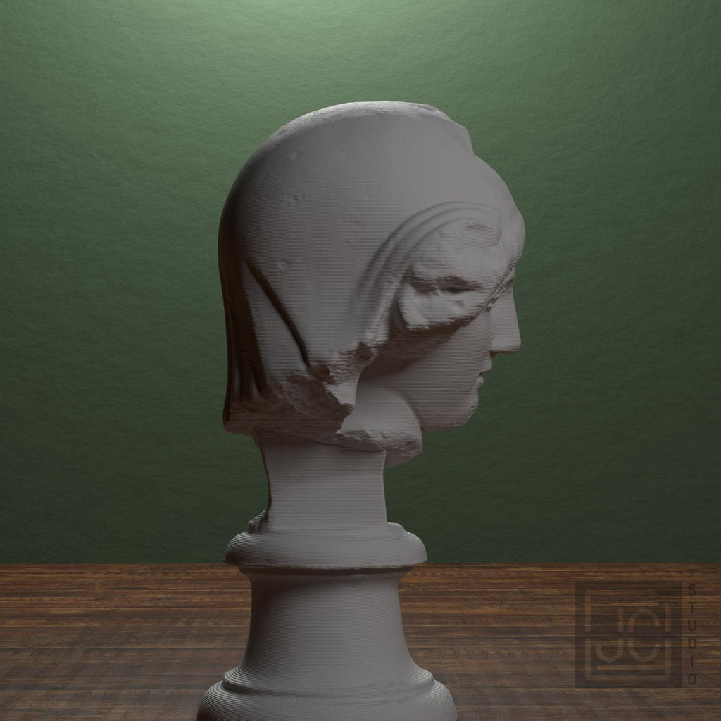 Mourning Penelope Head 3D Printed Museum Replica