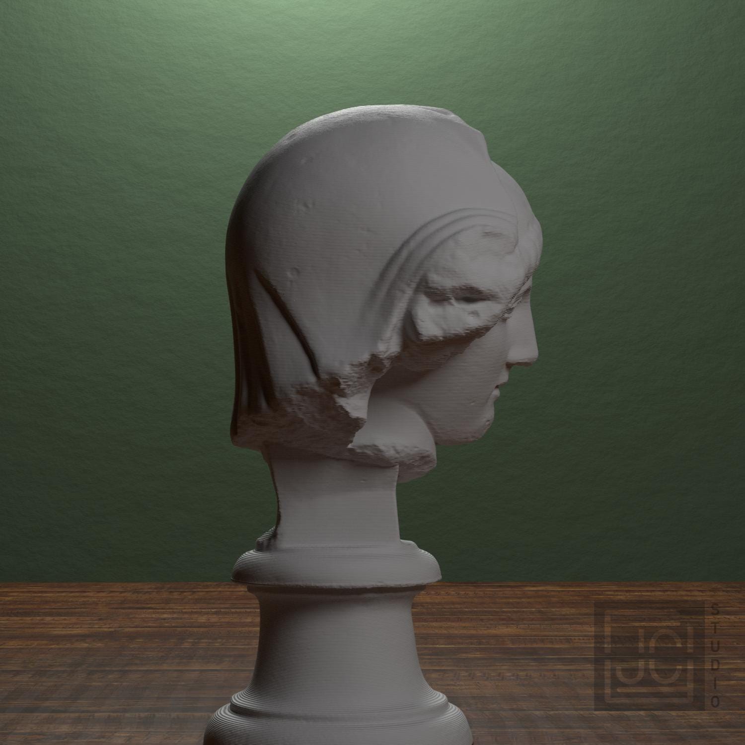 Mourning Penelope Head 3D Printed Museum Replica