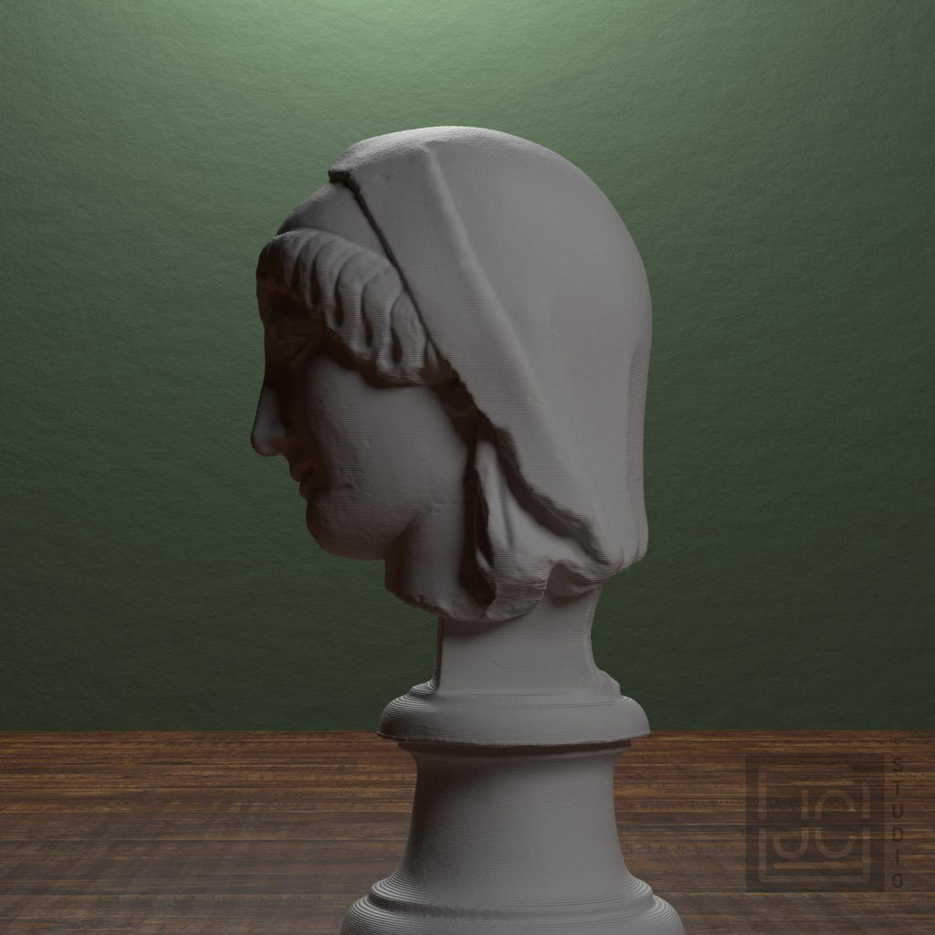 Mourning Penelope Head 3D Printed Museum Replica