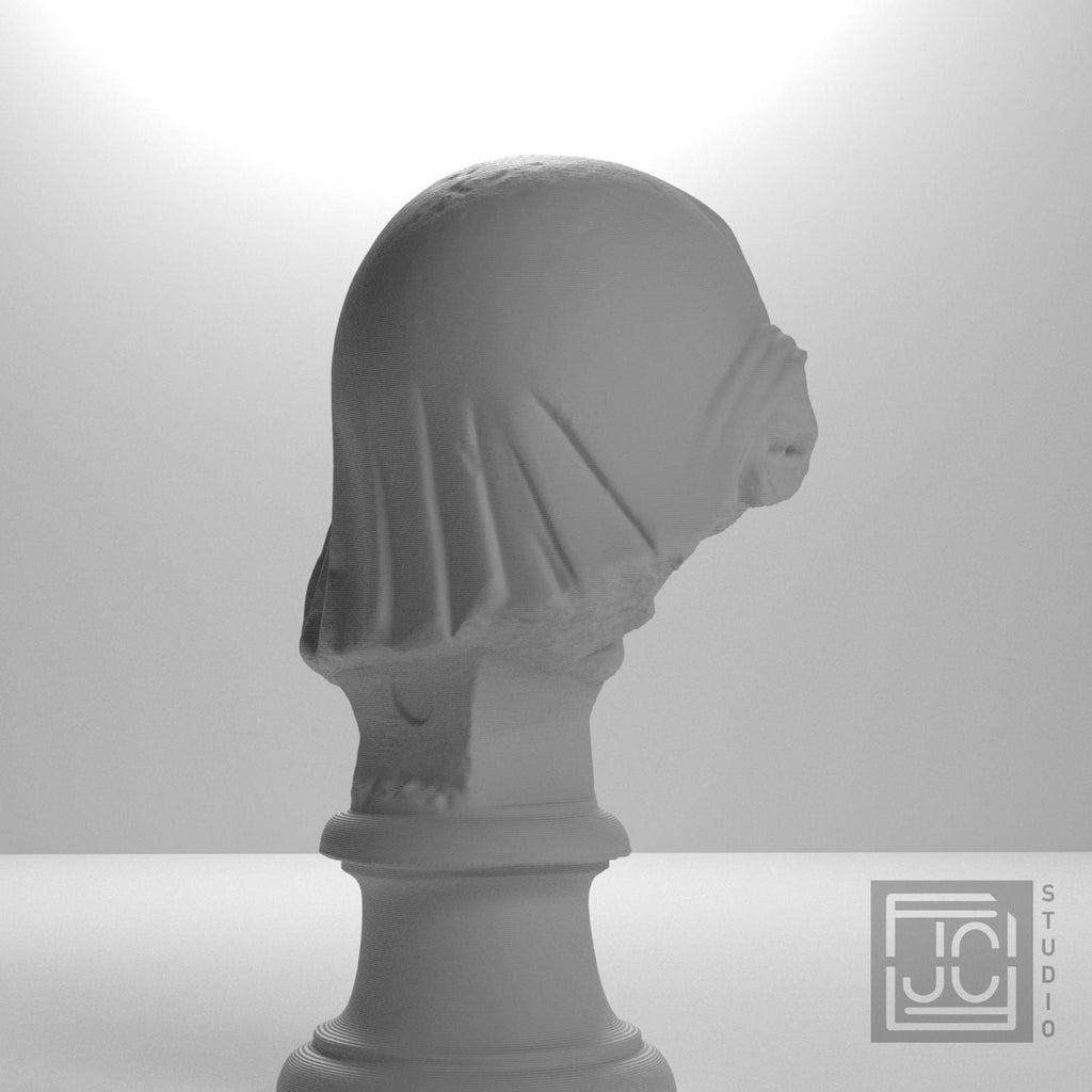 Mourning Penelope Head 3D Printed Museum Replica