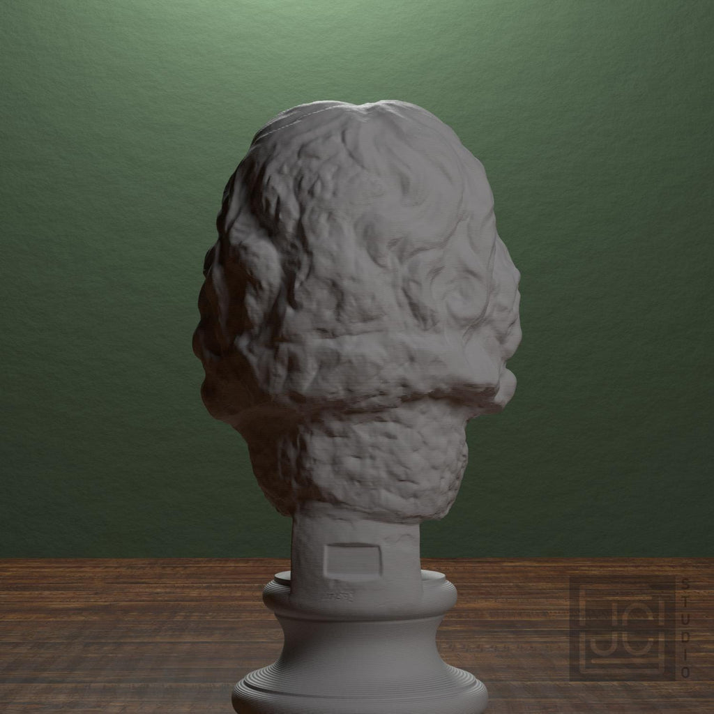 Head of a Barbarian Chief 3D Printed Museum Replica