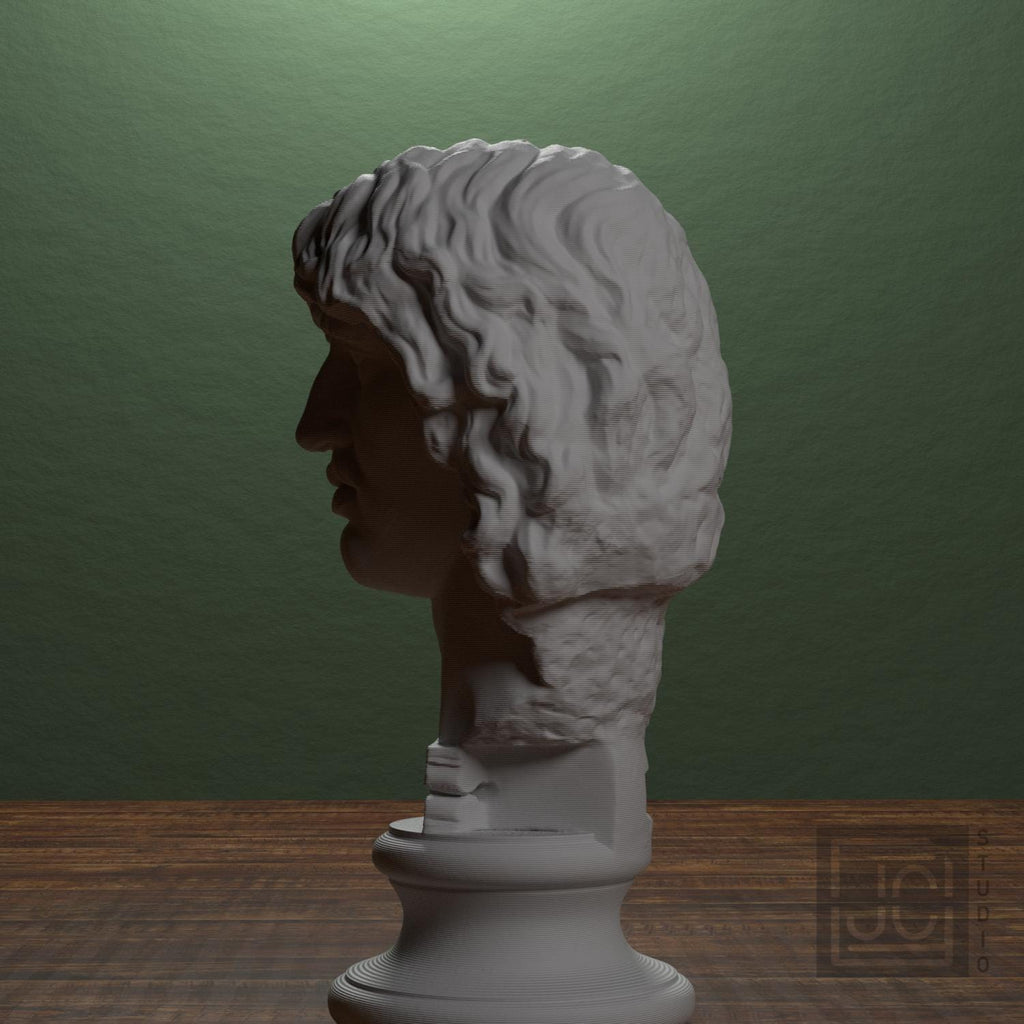 Head of a Barbarian Chief 3D Printed Museum Replica