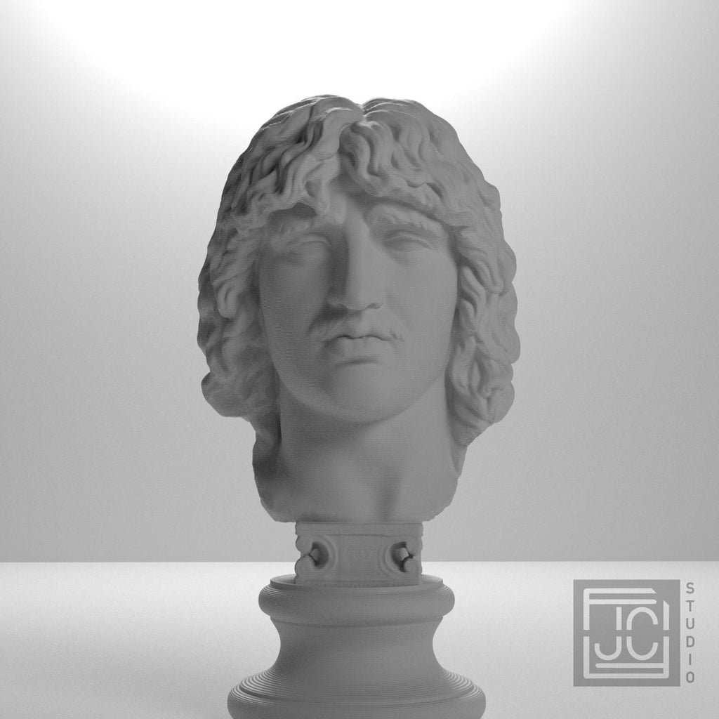 Head of a Barbarian Chief 3D Printed Museum Replica