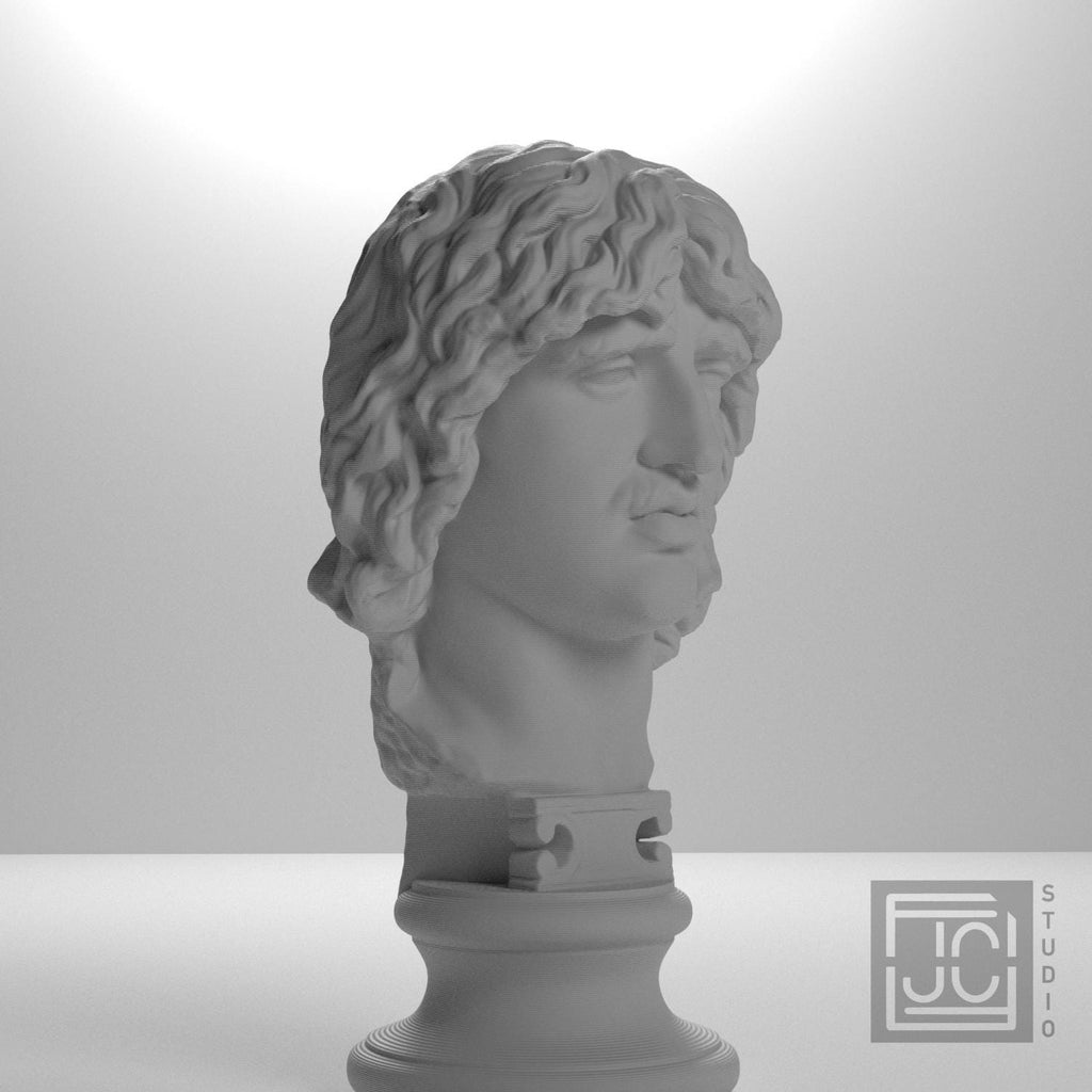 Head of a Barbarian Chief 3D Printed Museum Replica