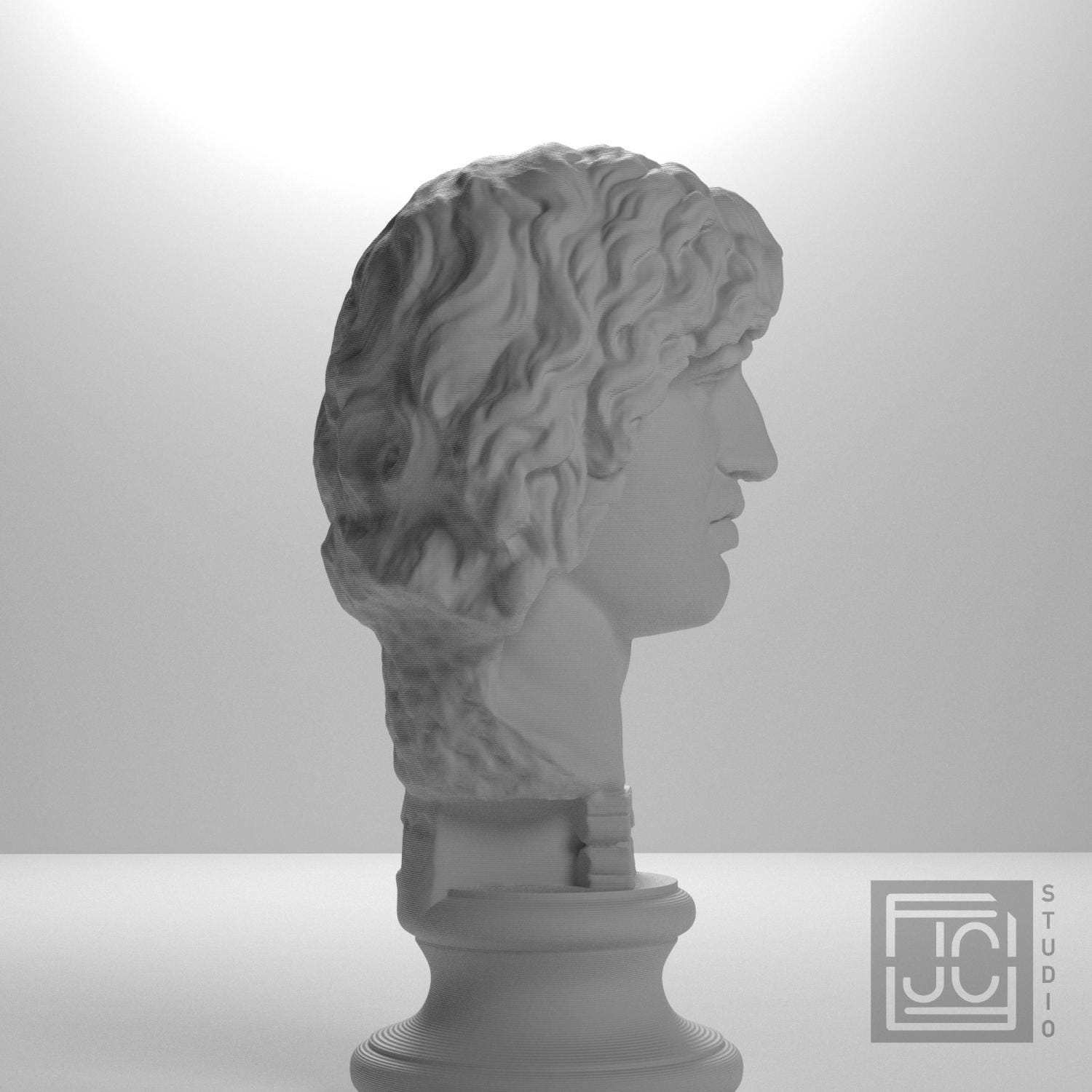 Head of a Barbarian Chief 3D Printed Museum Replica