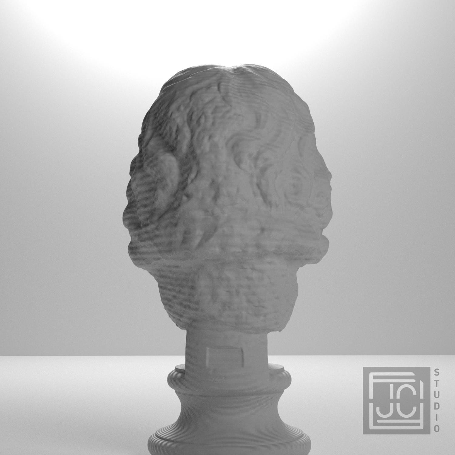 Head of a Barbarian Chief 3D Printed Museum Replica