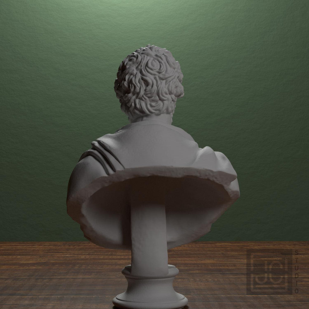 Septimius Severus 3D Printed Collectible Bust
