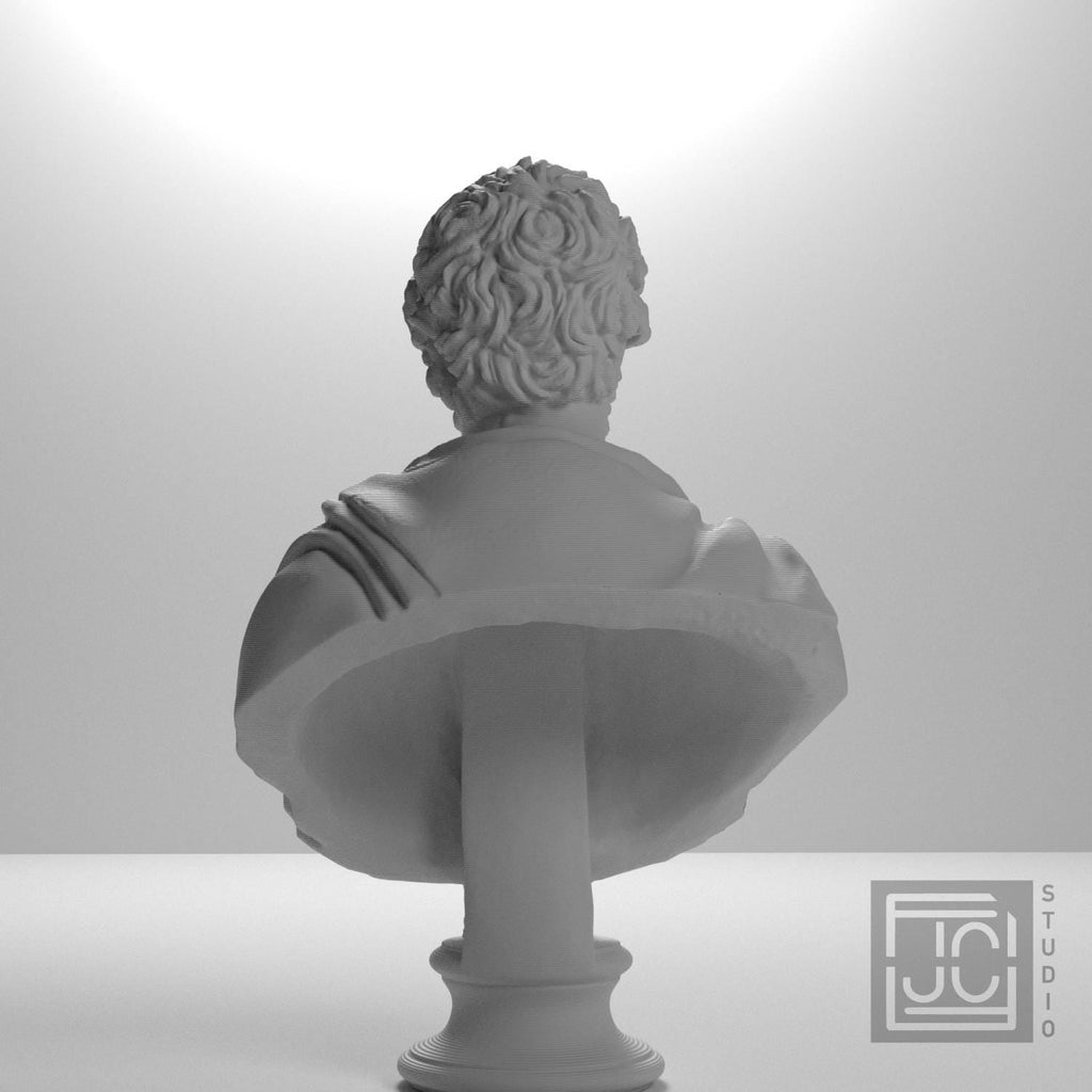 Septimius Severus 3D Printed Collectible Bust