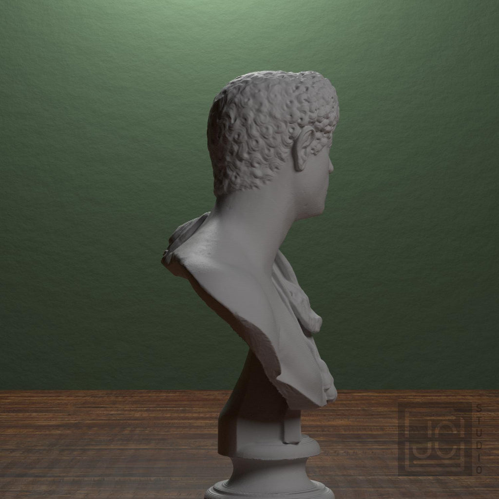 Portrait with Panther Skin 3D Printed Collectible Bust