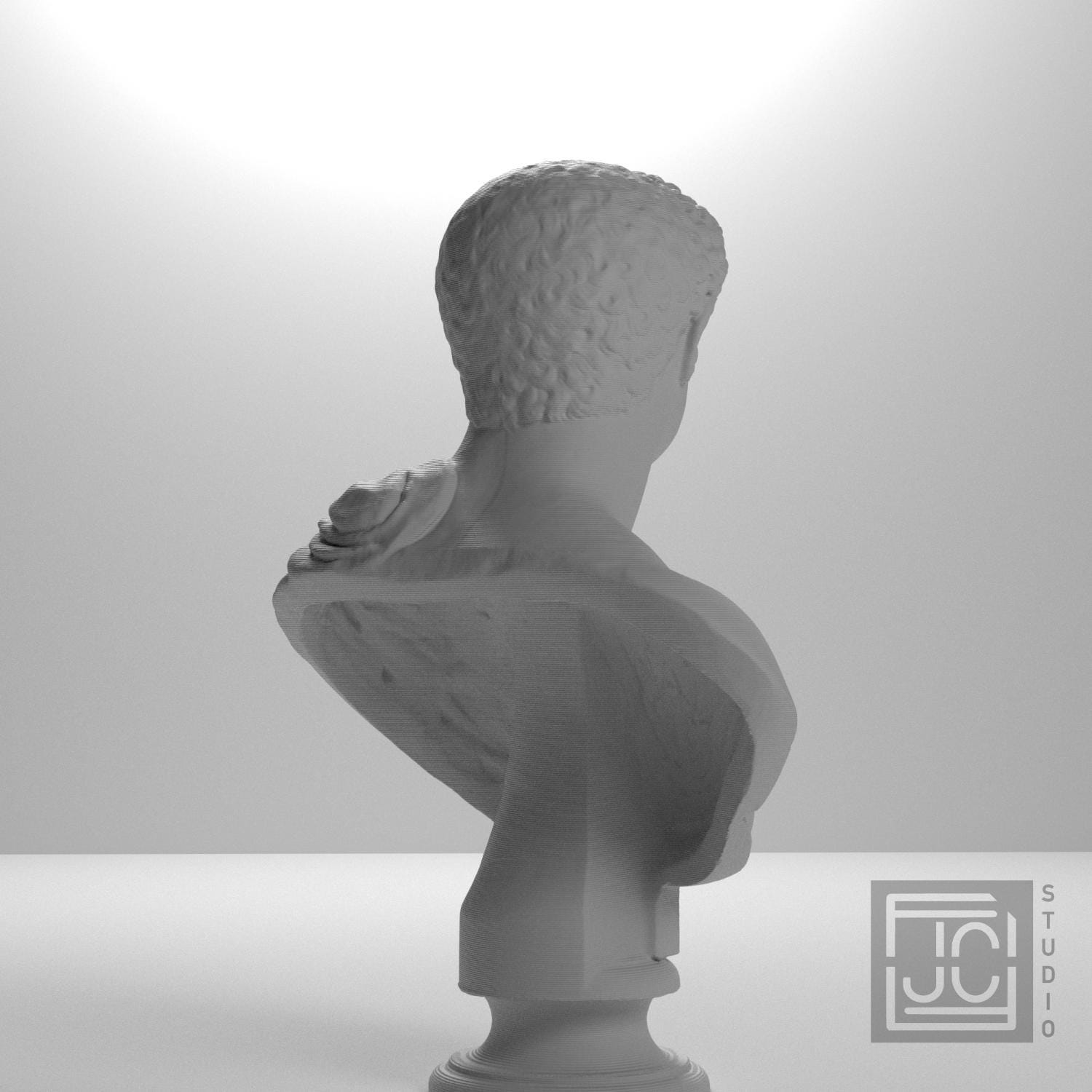 Portrait with Panther Skin 3D Printed Collectible Bust
