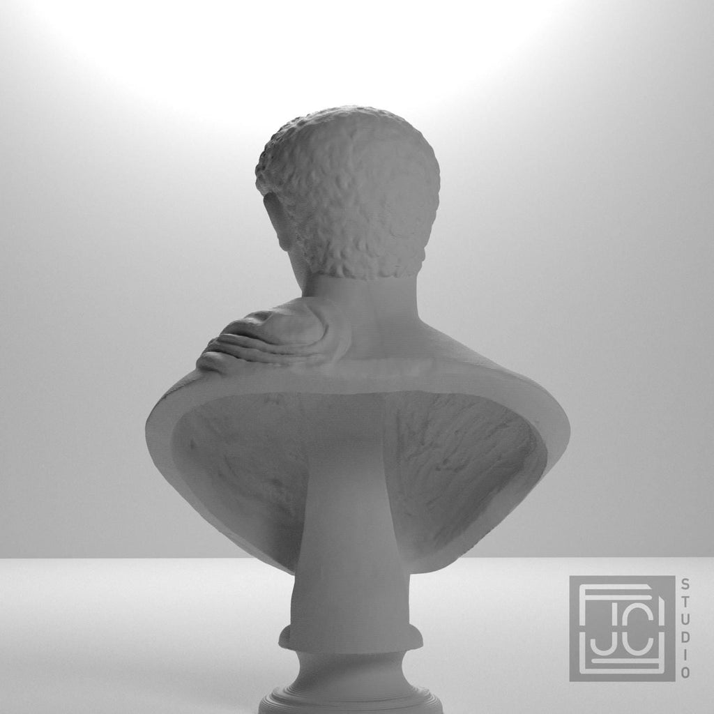 Portrait with Panther Skin 3D Printed Collectible Bust