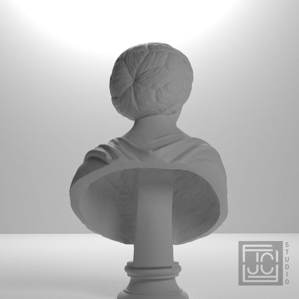 Portrait of a Noblewoman 3D Printed Museum Replica