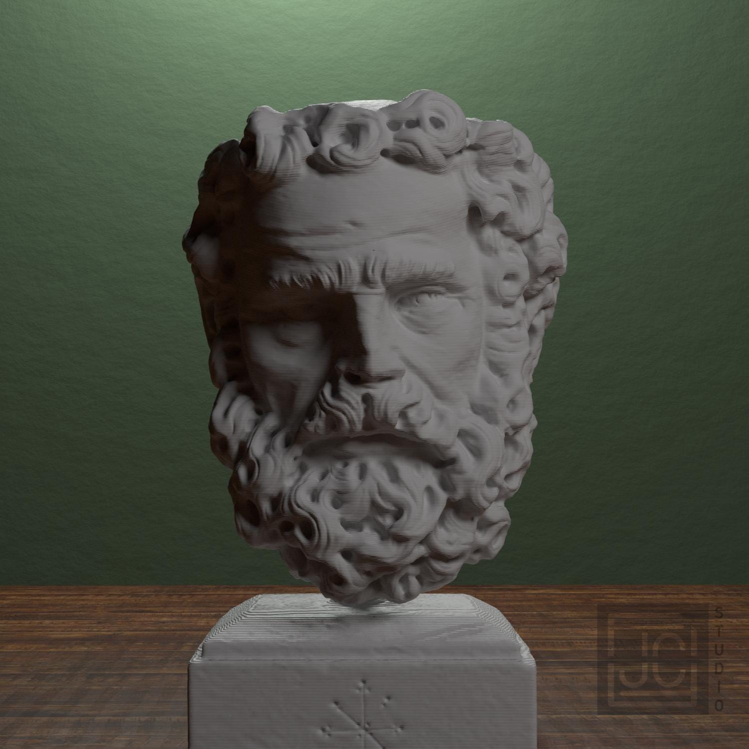 Head of a Bearded Man 3D Printed Museum Replica