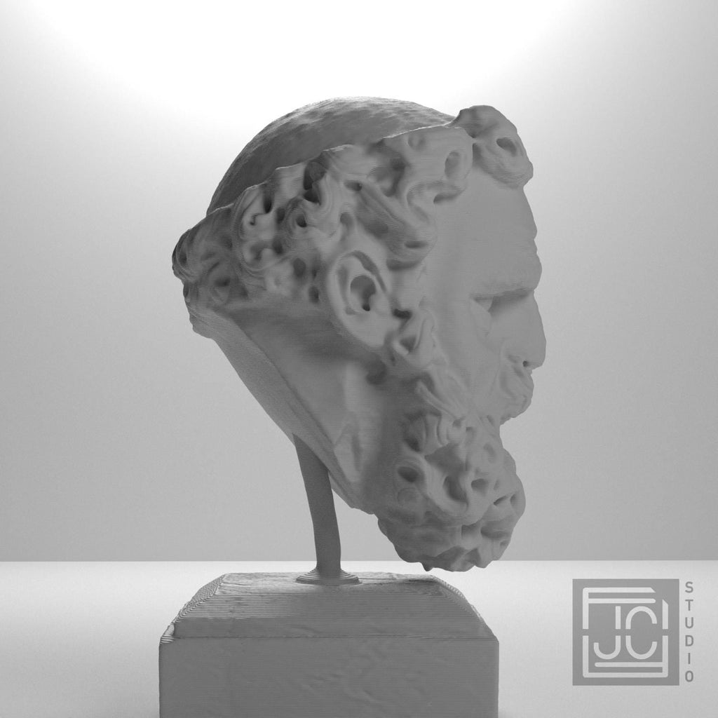 Head of a Bearded Man 3D Printed Museum Replica
