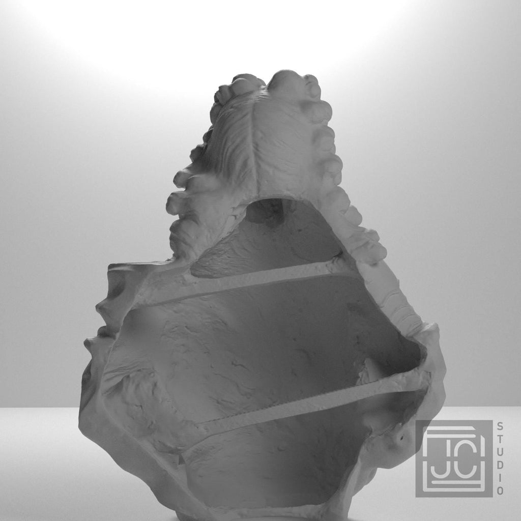 Captain Moritz Hartmann 3D Printed Collectible Bust