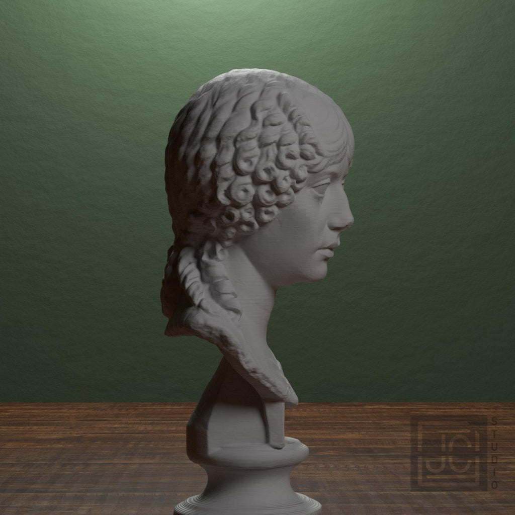Minatia Polla 3D Printed Museum Portrait Replica