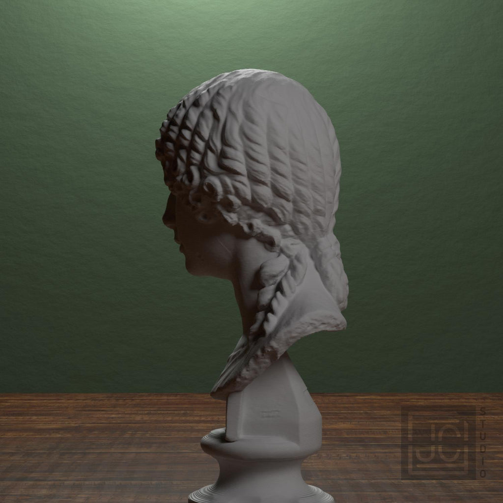 Minatia Polla 3D Printed Museum Portrait Replica
