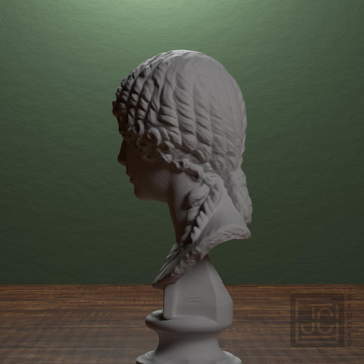 Minatia Polla 3D Printed Museum Portrait Replica