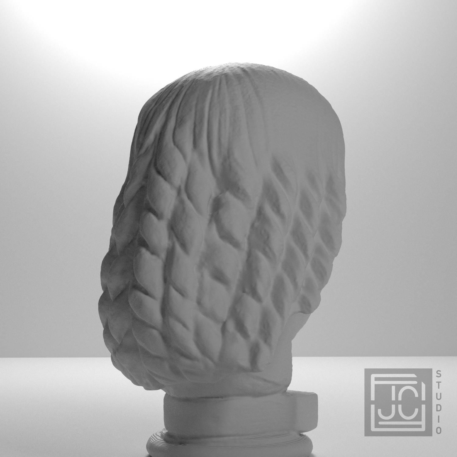 Female Head Statue Fragment 3D Printed Collectible Bust