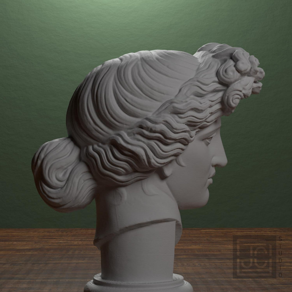 Apollo Giustiniani 3D Printed Collectible Bust