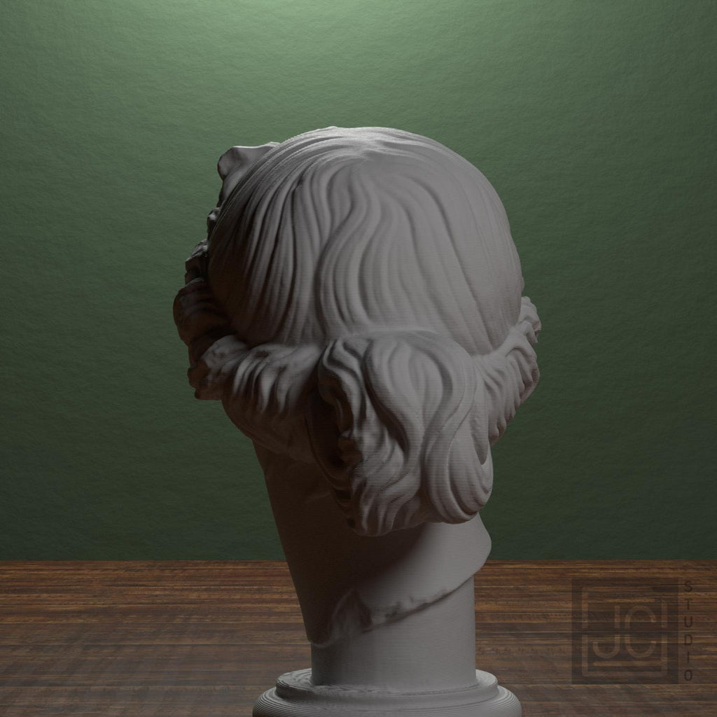 Apollo Giustiniani 3D Printed Collectible Bust