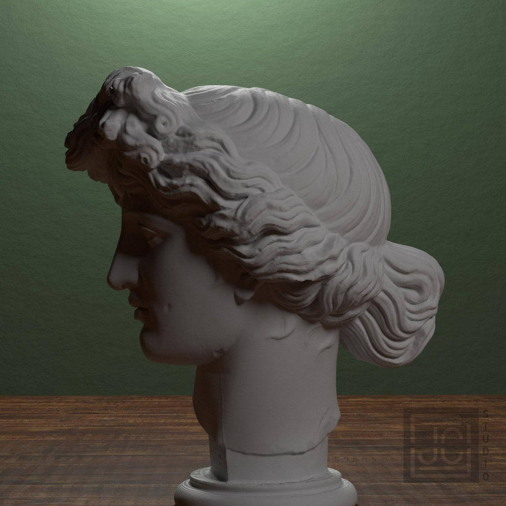 Apollo Giustiniani 3D Printed Collectible Bust