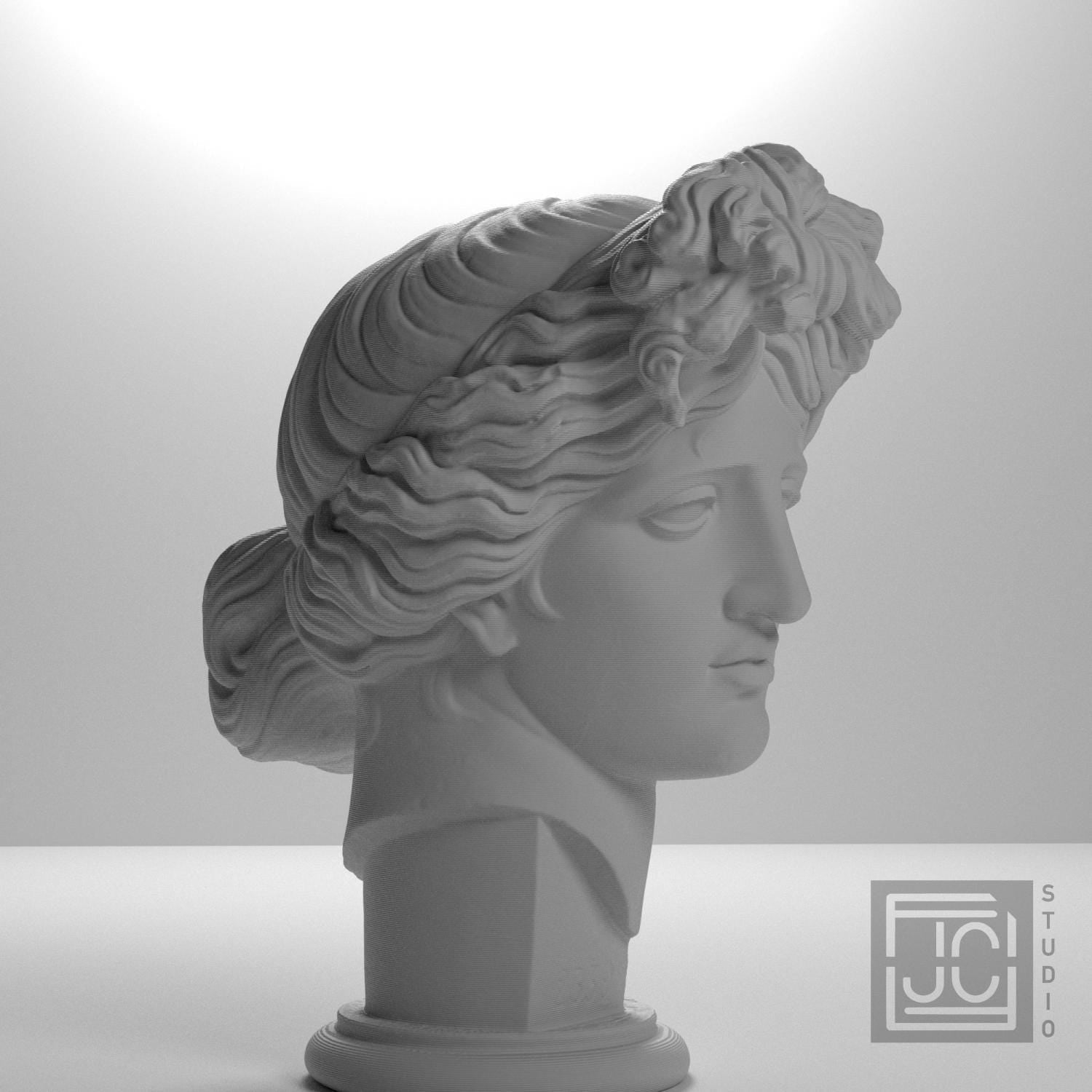 Apollo Giustiniani 3D Printed Collectible Bust